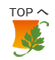 トップへ戻る